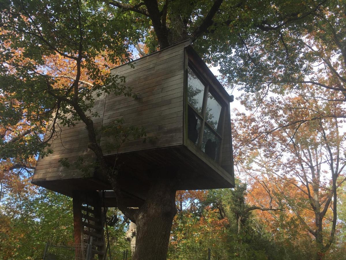Casa Alaska Алсасуа Екстериор снимка